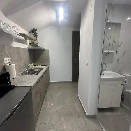 Asprolux Студио с градина 3